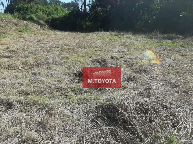 Terreno à venda, 13606 m² por R$ 8.170.000,00 - Pimentas - Guarulhos/SP