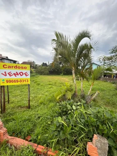 Terreno no Bairro Rio Tavares com Escritura Pública