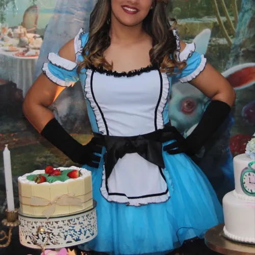 Fantasia Alice no País das Maravilhas Adulto G Completa - Ótimo Estado