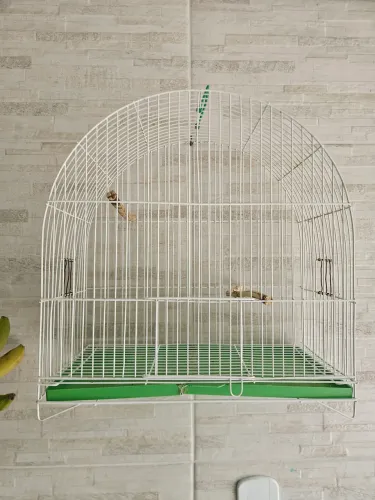 Gaiola periquito