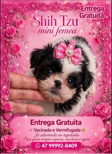 Vendo Femea 