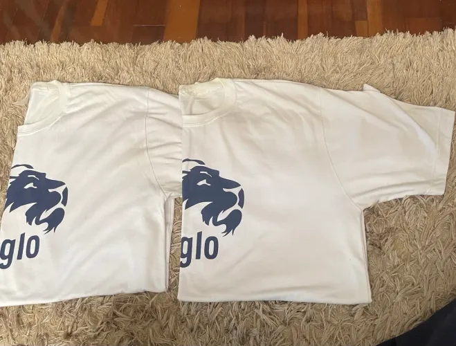 Kit 2 camisetas anglo