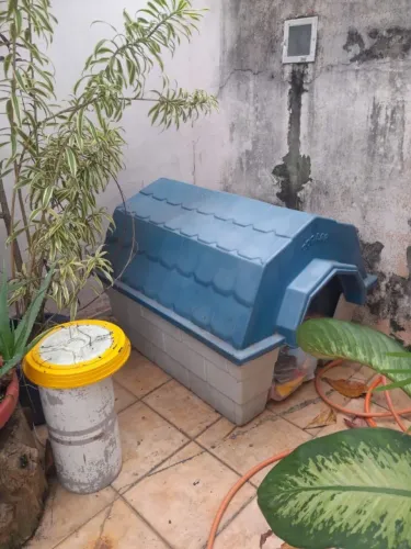 Casa de plástico para pet grande