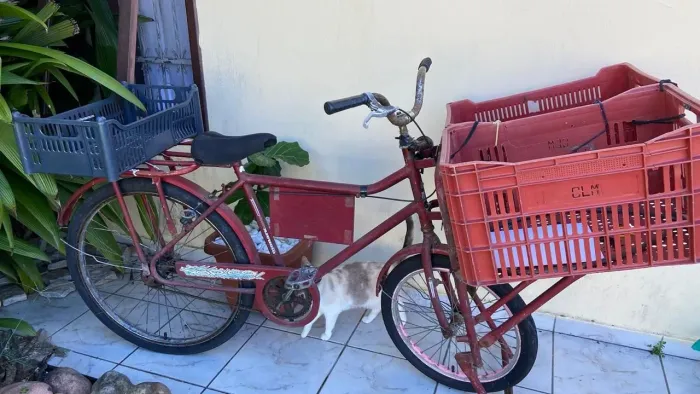 Vendo bicicleta cargueira
