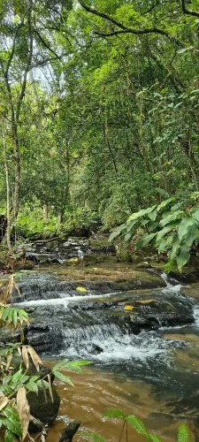 1 ha com córrego+chão de casa, Imaruí,sc