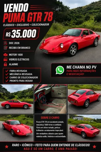 Puma GTE 1.6 Coupe 8V Gasolina 2P Manual 2022