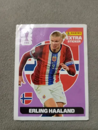 Haaland Roxa
