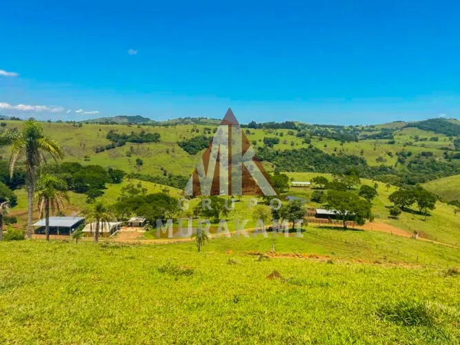 FAZENDA - PALMITAL - PARANÁ