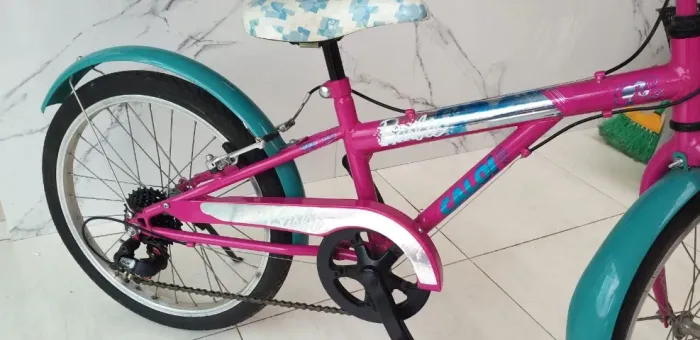 Biciclta infantil