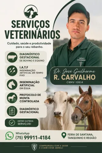 Inseminação em éguas