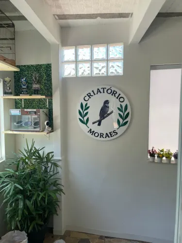 Placas de acrílico personalizada