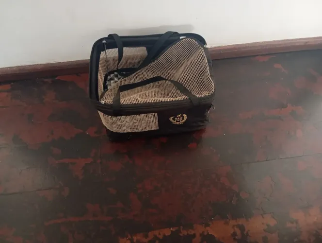Vendo bolsa p transporta cachorro