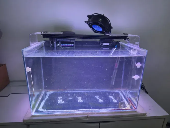 Aquário completo 45L - Ideal para camarões (Neocaridina) ou aquário plantado