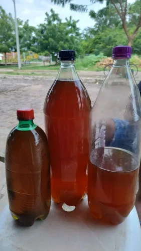 Azeite de coco
