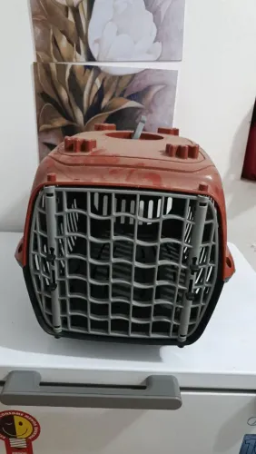 ? CAIXAS DE TRANSPORTE PARA PET - NUNCA USADAS
