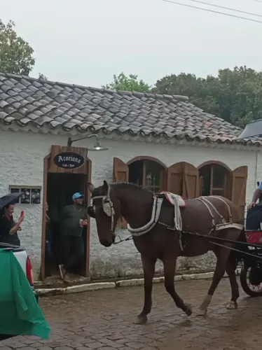 Charrete, carroça de cavalgada e passeio