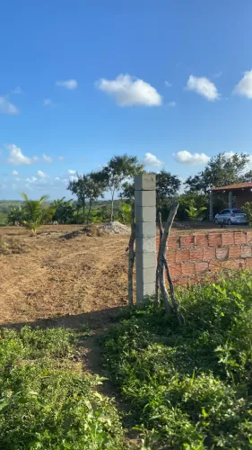 Vendo 1/2 tarefa de terra em Santanopolis povoado do Pinheiro zap 753300-5489