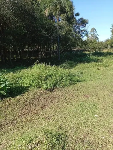 Chacrinha em Lomba Grande