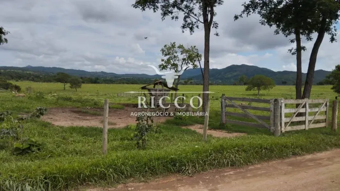 Fazenda à Venda em Heitoraí GO | 50 Alqueires | Rica em Água