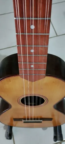 Viola caipira