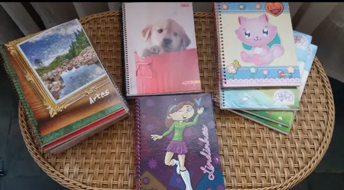 Kit de 29 Cadernos universitário(ler descrição)