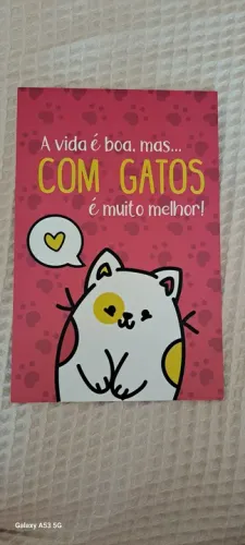 Placa decorativa vida com gatos
