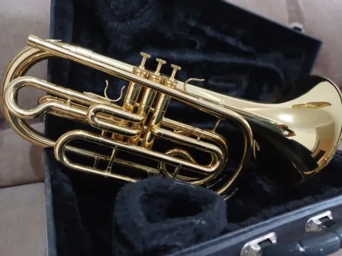 Trombone De Marcha Sib Weril M567 (trombonito)