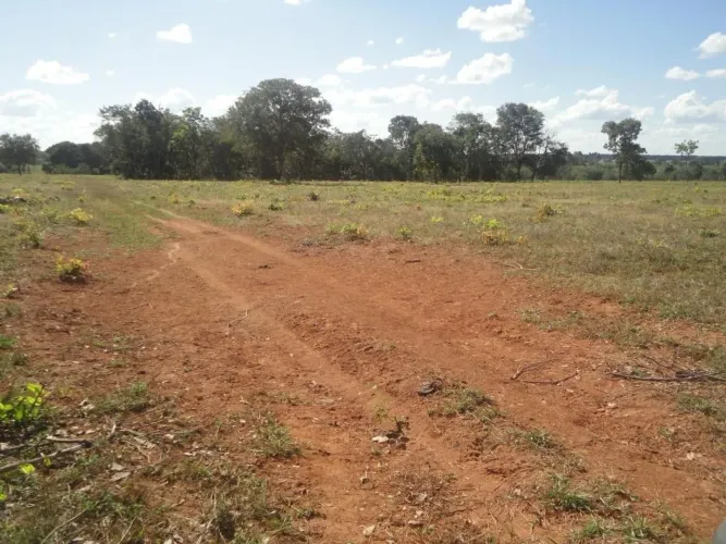 Fazenda 700 hec em Ribeirão da cascalheira, 10 km da cidade 21 milhões 