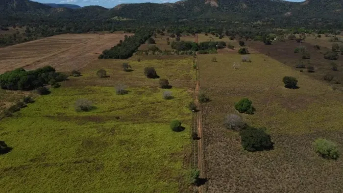 FAZENDA - MONTE DO CARMO - TO