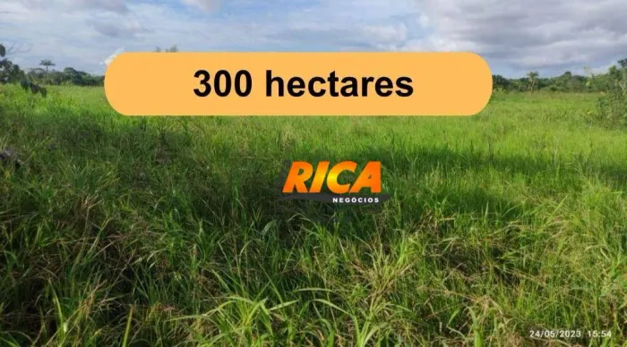 Fazenda à venda, 3000000 m² por R$ 2.600.000,00 - Zona Rural - Humaita/AM