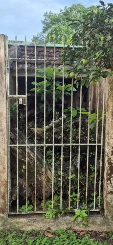 DOAÇÃO DE LENHA
