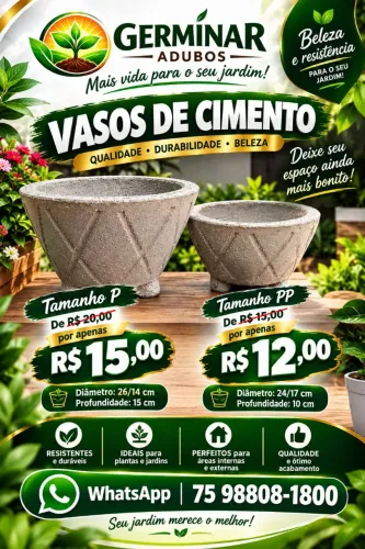Vasos de cimento