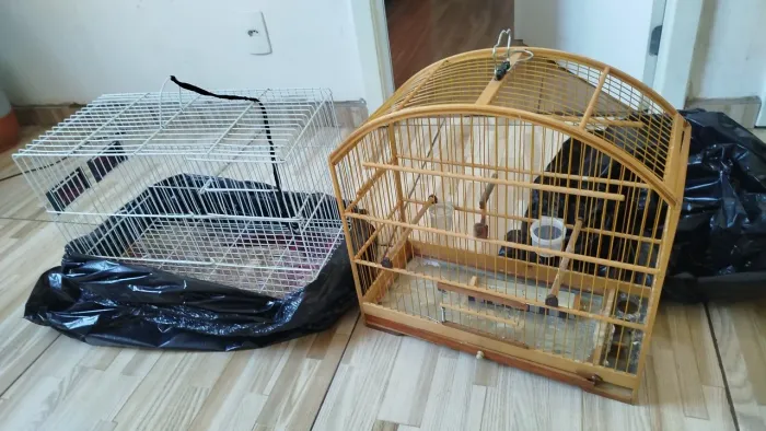 Duas gaiolas por 100 reais