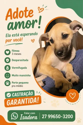 Filhote fêmea 