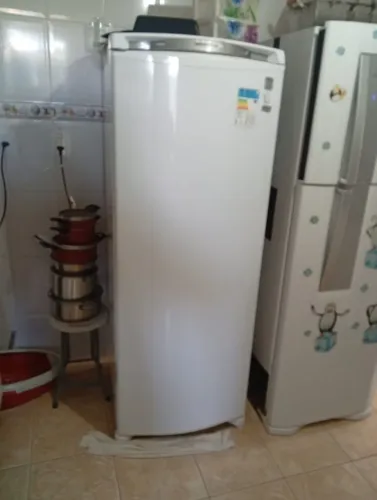 Geladeira Consul Facilite Frost Free 342L