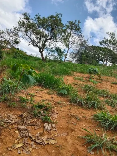 Terreno