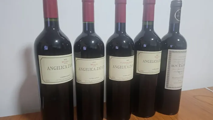Vinhos Agentinos - Angélica Zapata e Dv Catena