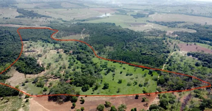 Fazenda 34,66 ha próximo à MG-050 | Igarantiga / São Gonçalo do Pará