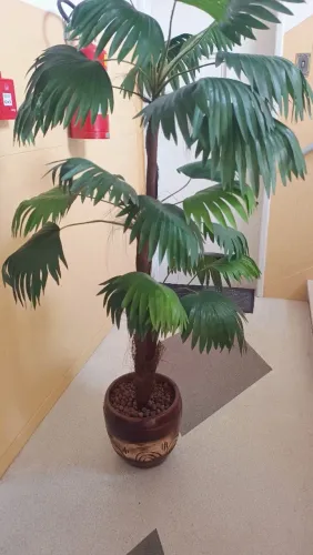 Vaso com planta artificial