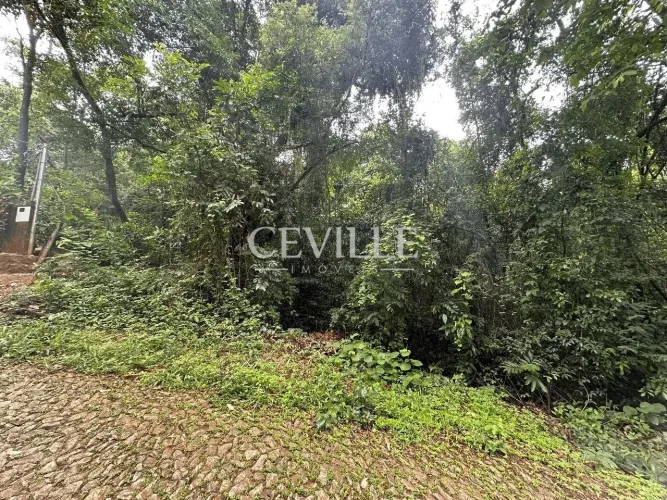 1.000m² + fundo para APP