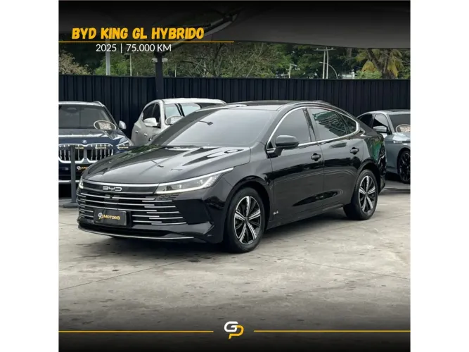 BYD King GL 1.5 16V Aut. (hibrido) 2025