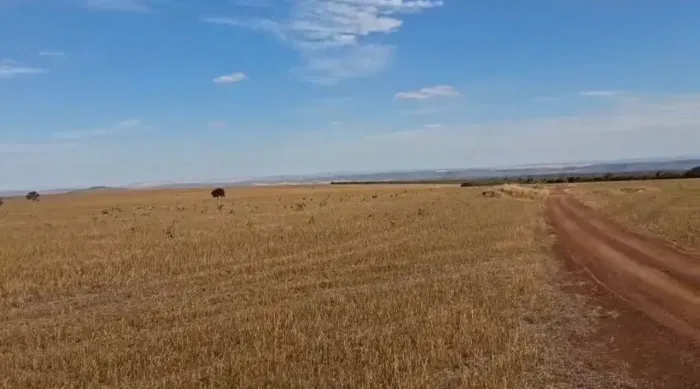 Fazenda a venda no Goiás, negócio de oportunidade!