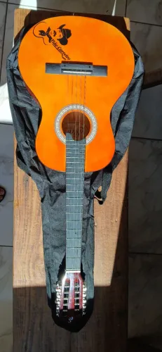Viola caipira