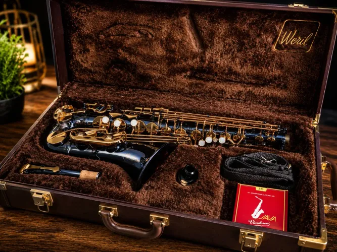 Saxofone Alto - Exclusividade da Cor