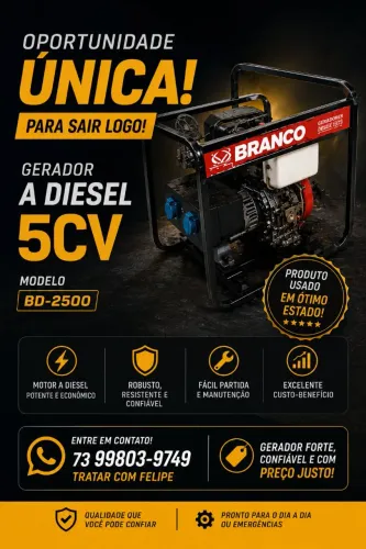 Oportunidade Única! Gerador a Diesel