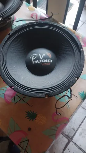Alto falante de 12 PV áudio queimado leia!!!
