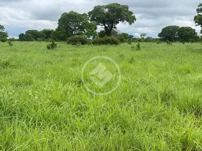 Fazenda com 230 Alqueires à Venda na Região de Crixás-TO codigo: 342795