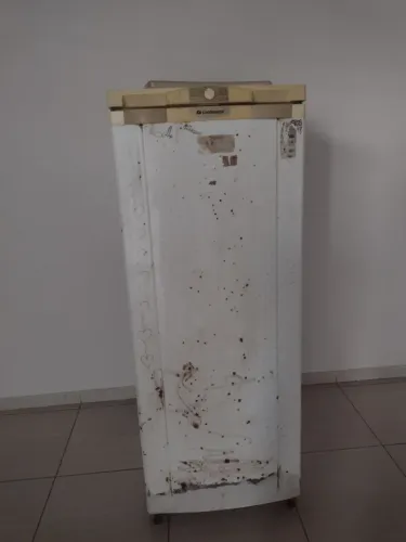 Geladeira 200$