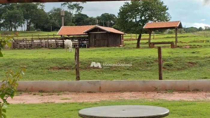 Sítio com 1 dormitório à venda, 40000 m² por R$ 1.400.000,00 - Talhado - São José do Rio P