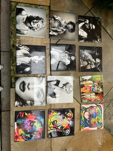 Quadros Decorativos com Estampas Variadas